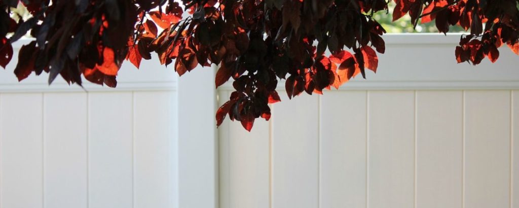 white vinyl fence